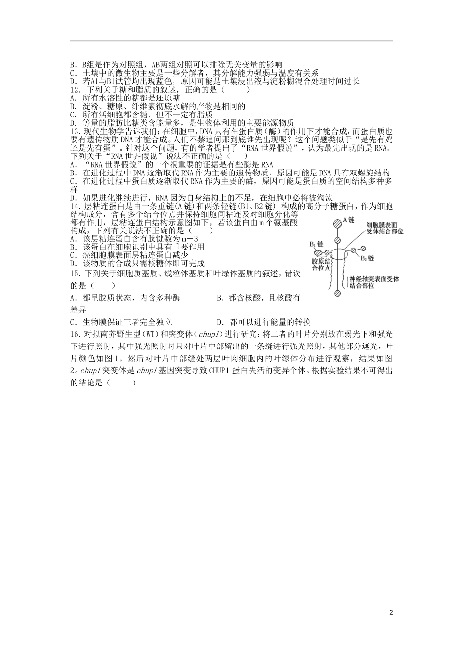 江西省师范大学附属中学2016届高三生物上学期第一次月考试题_第2页