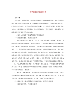 团委工作总结900字