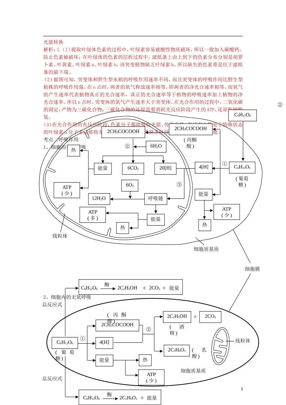 【专项冲击波】2013高考生物 讲练测系列 专题04 光合作用与细胞呼吸（教师版）_第3页