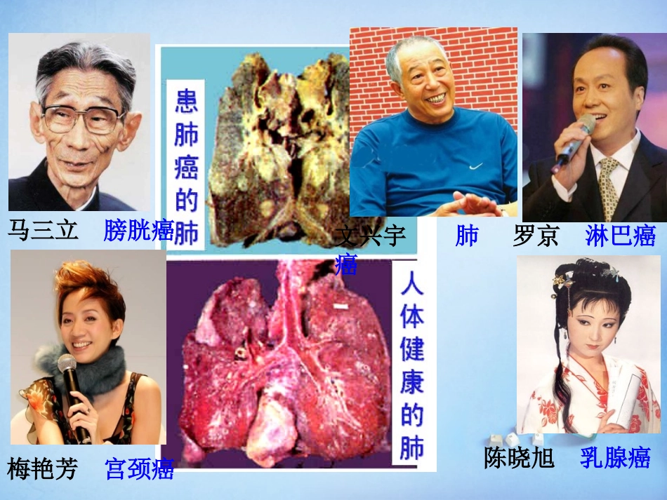 黑龙江省大庆市铁人中学高中生物6.4细胞的癌变课件新人教版必修1_第3页