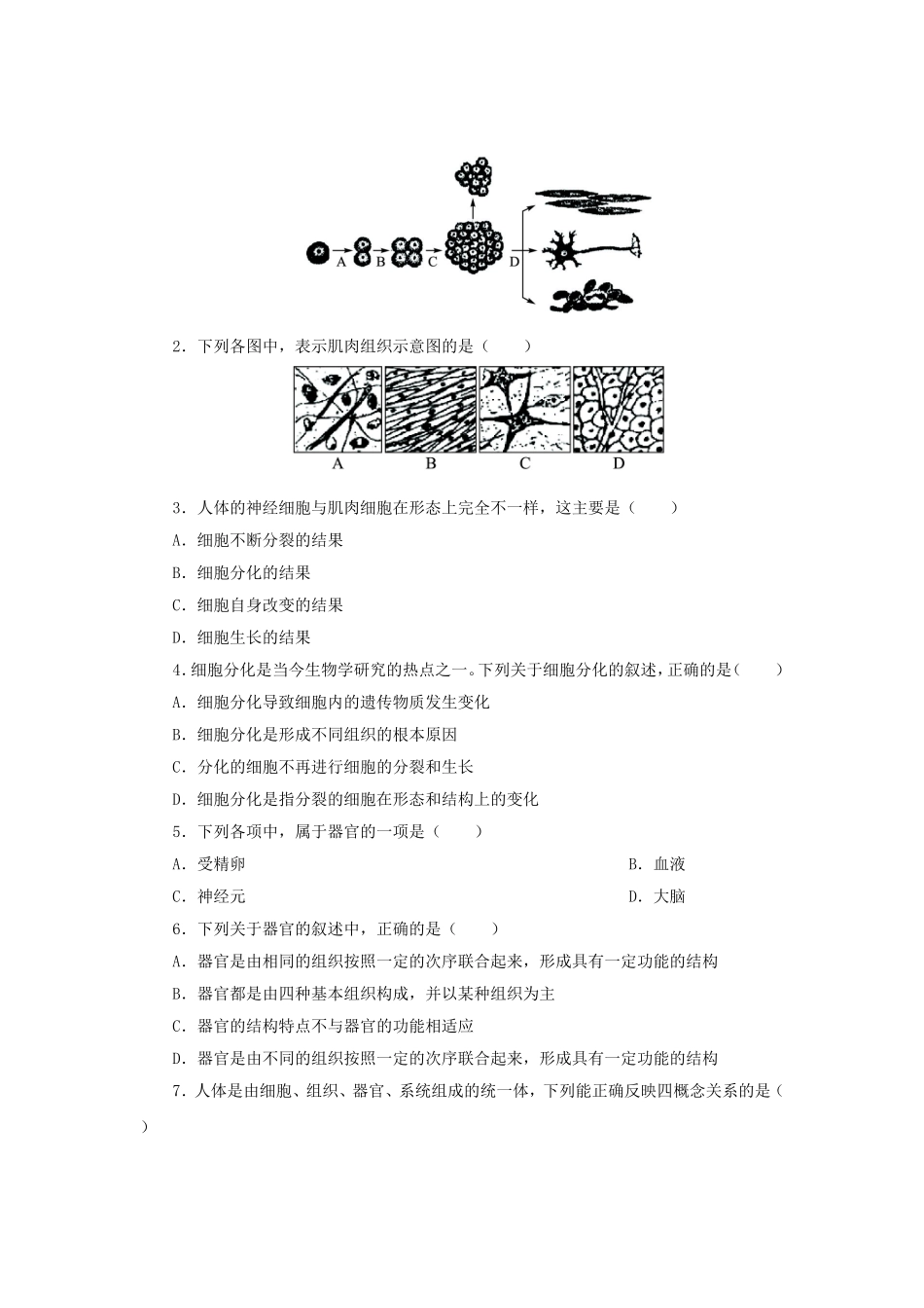 2015秋七年级生物上册2.2.2动物体的结构层次导学案新版新人教版_第3页