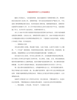 中级经济师年终个人工作总结范文
