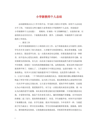 小学新教师个人总结