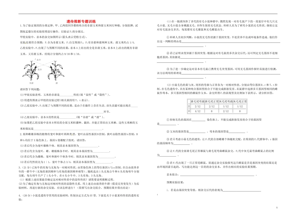 高中生物 遗传推断专题训练 新人教版必修2_第1页