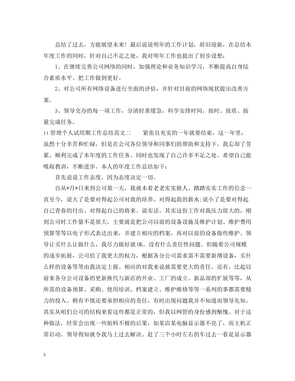 it管理个人试用期工作总结_第3页