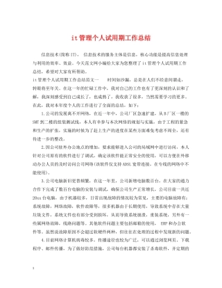 it管理个人试用期工作总结