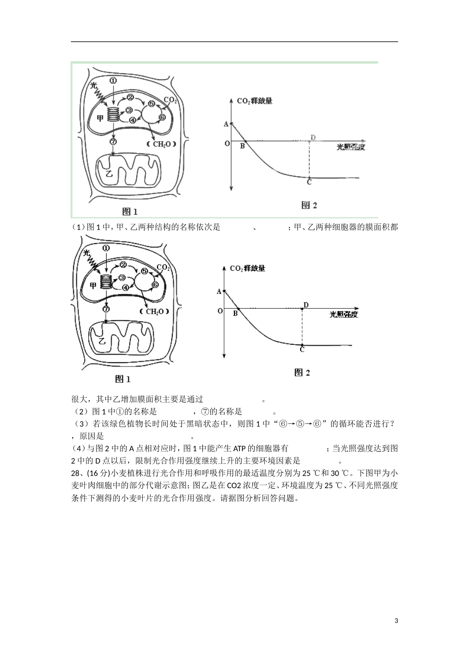 广东省汕头市2012-2013学年高二生物3月月考试题新人教版_第3页