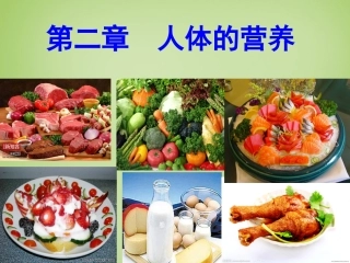 河北省安国市实验中学七年级生物下册第二章第一节食物中的营养物质课件新版新人教版