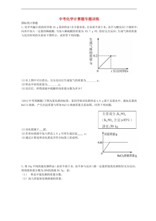 广东省河源市南开实验学校2015届中考化学专题突破化学计算试题无答案