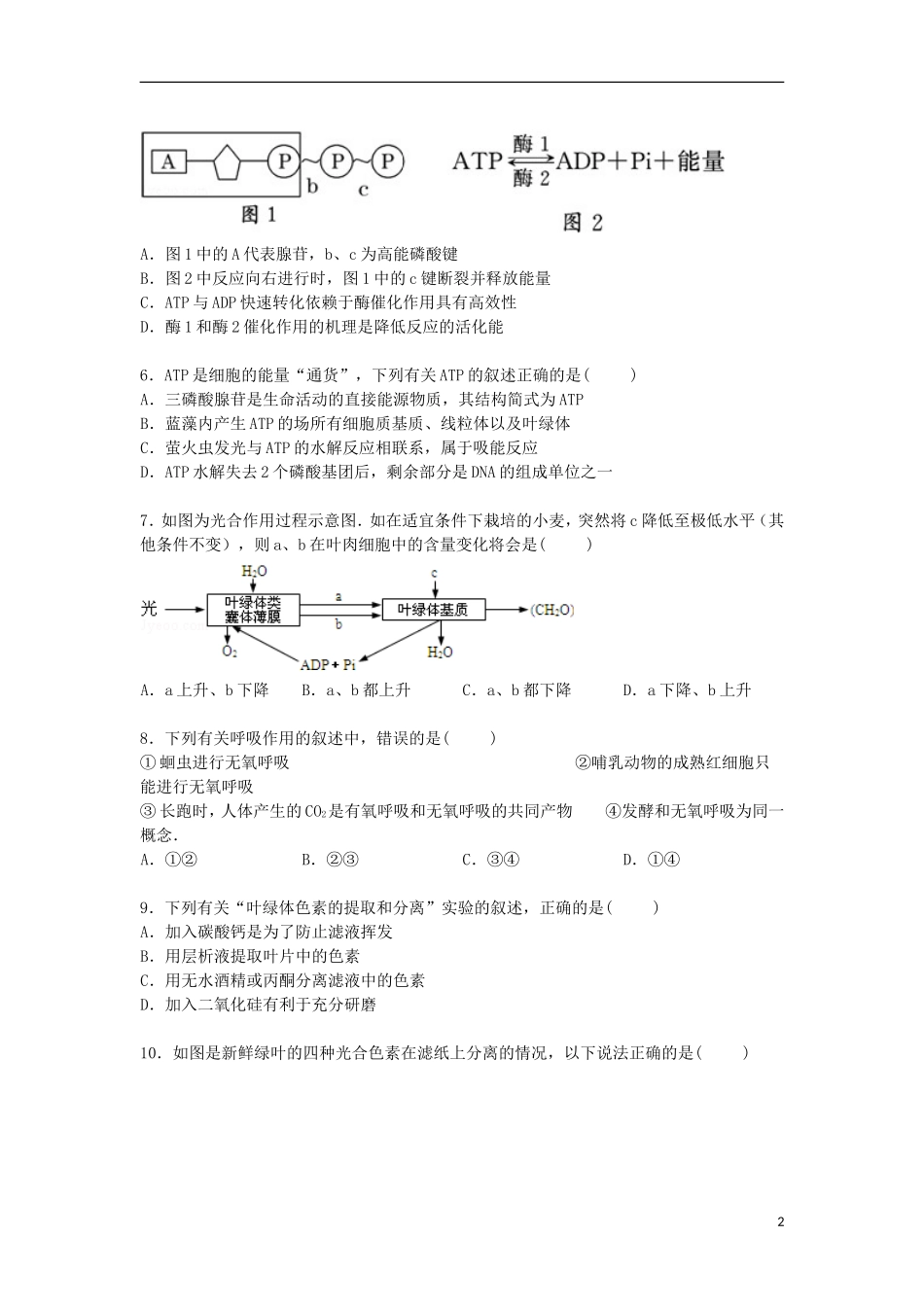 福建省龙岩市武平一中2014_2015学年高一生物下学期第一次月考试卷含解析_第2页