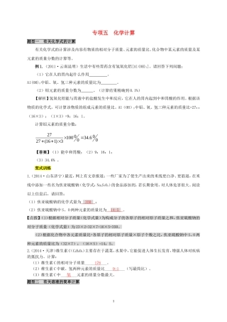教考通2015中考化学专题复习五化学计算