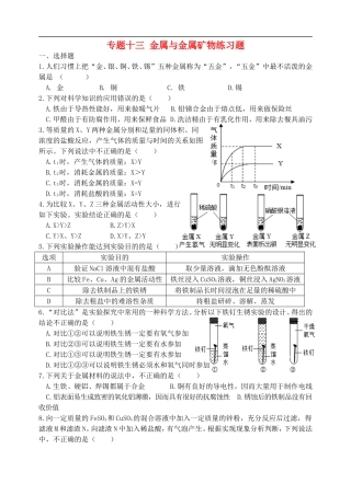 湖北省孝感市孝南区肖港镇肖港初级中学中考化学专题复习十三金属与金属矿物练习题无答案