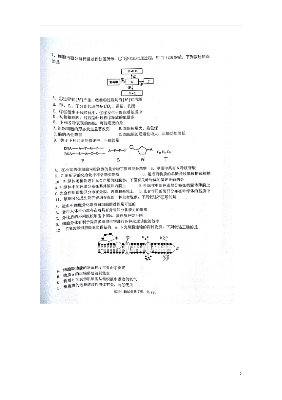 安徽省蚌埠市第五中学2016届高三生物上学期期中试题扫描版_第2页