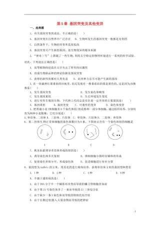海南省华侨中学三亚学校高三生物复习第5章基因突变及其他变异无答案
