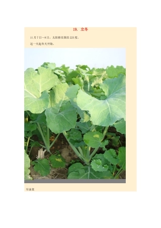 2015年高中地理24节气摄影素材19立冬