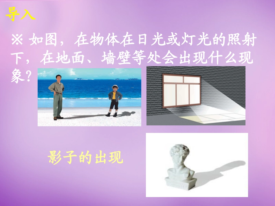 广东省惠东县教育教学研究室九年级数学下册29.1投影课件1新人教版_第3页