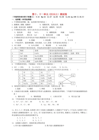 江苏省南京市溧水区东庐初级中学中考化学一轮复习第10_11单元综合测试题无答案新人教版