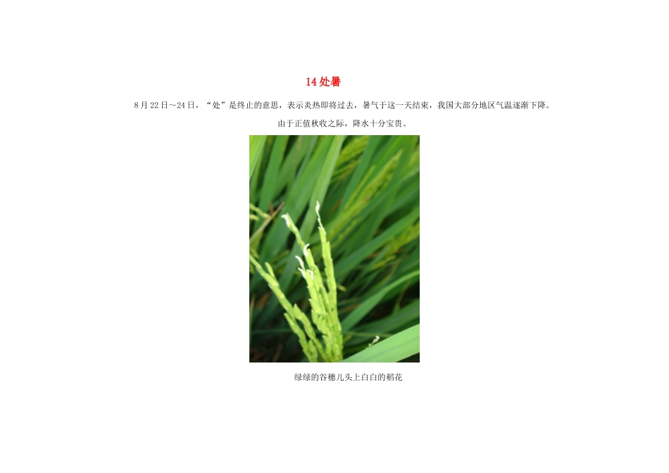 2015年高中地理24节气摄影素材14处暑_第1页