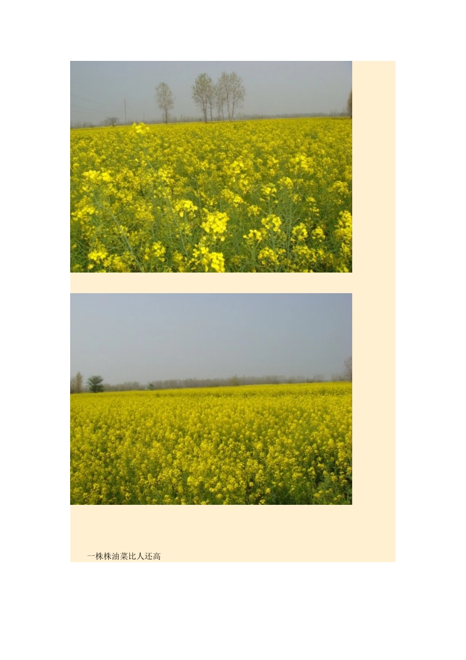 2015年高中地理24节气摄影素材5清明_第2页