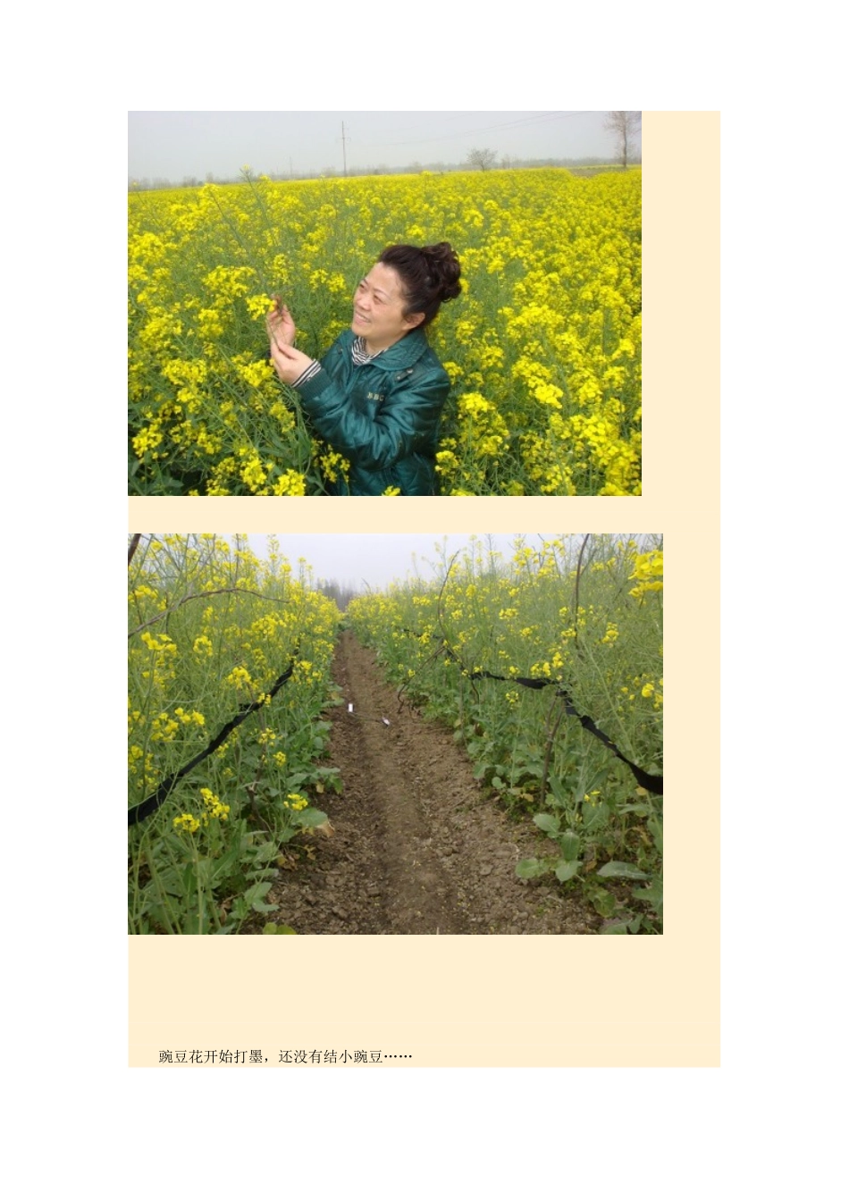 2015年高中地理24节气摄影素材5清明_第3页