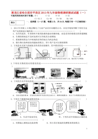 黑龙江省哈尔滨市平房区2013年九年级物理调研测试试题（一）