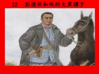 彭德怀和他的大黑骡子[]