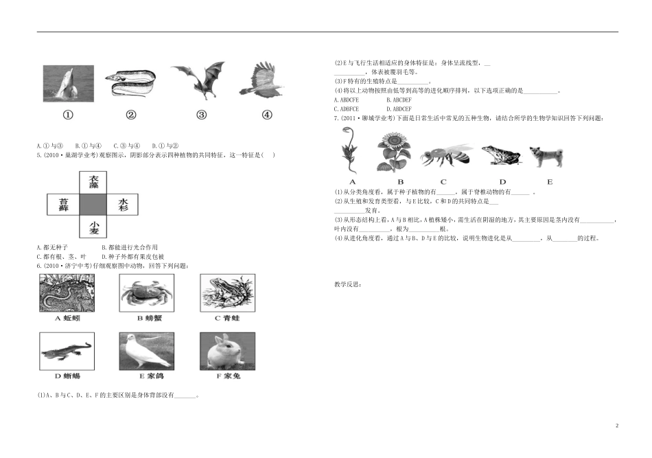 中考生物 2.4 第二单元 第四章 生物的分类复习导学案（无答案） 济南版_第2页