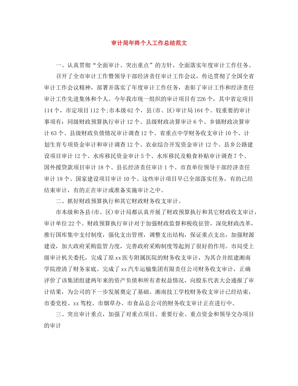 审计局年终个人工作总结范文_第1页