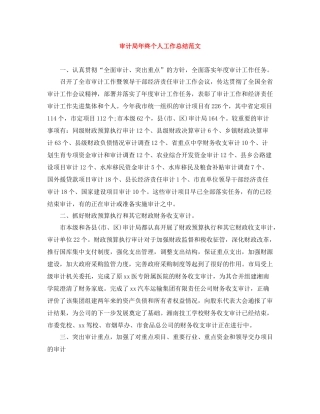 审计局年终个人工作总结范文