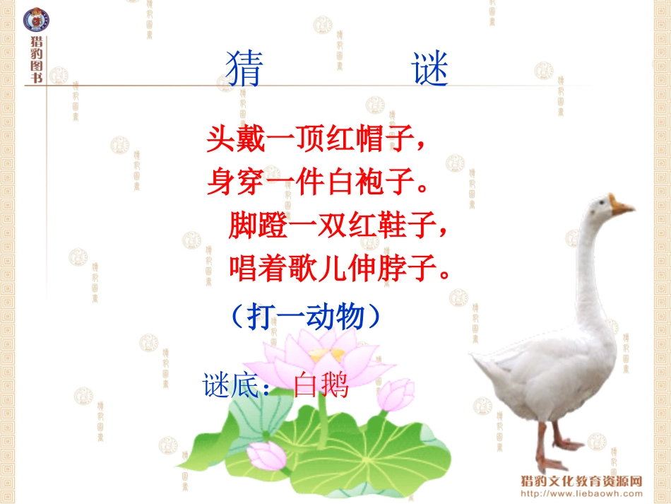 《白鹅》教学课件_第2页