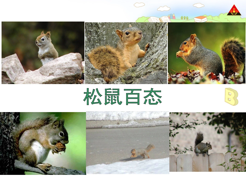 跑进家来的松鼠_第3页