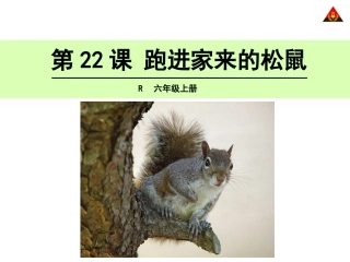 跑进家来的松鼠