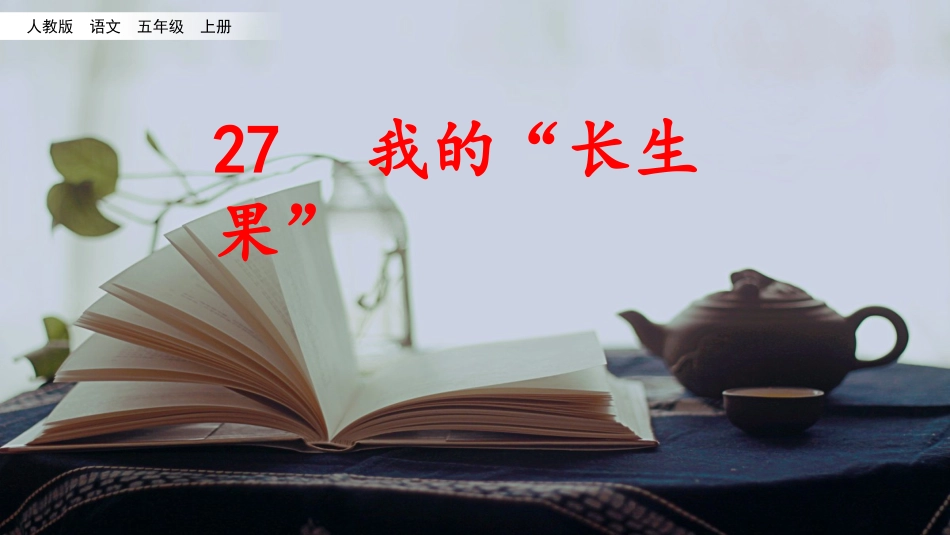 我的“长生果“_第2页