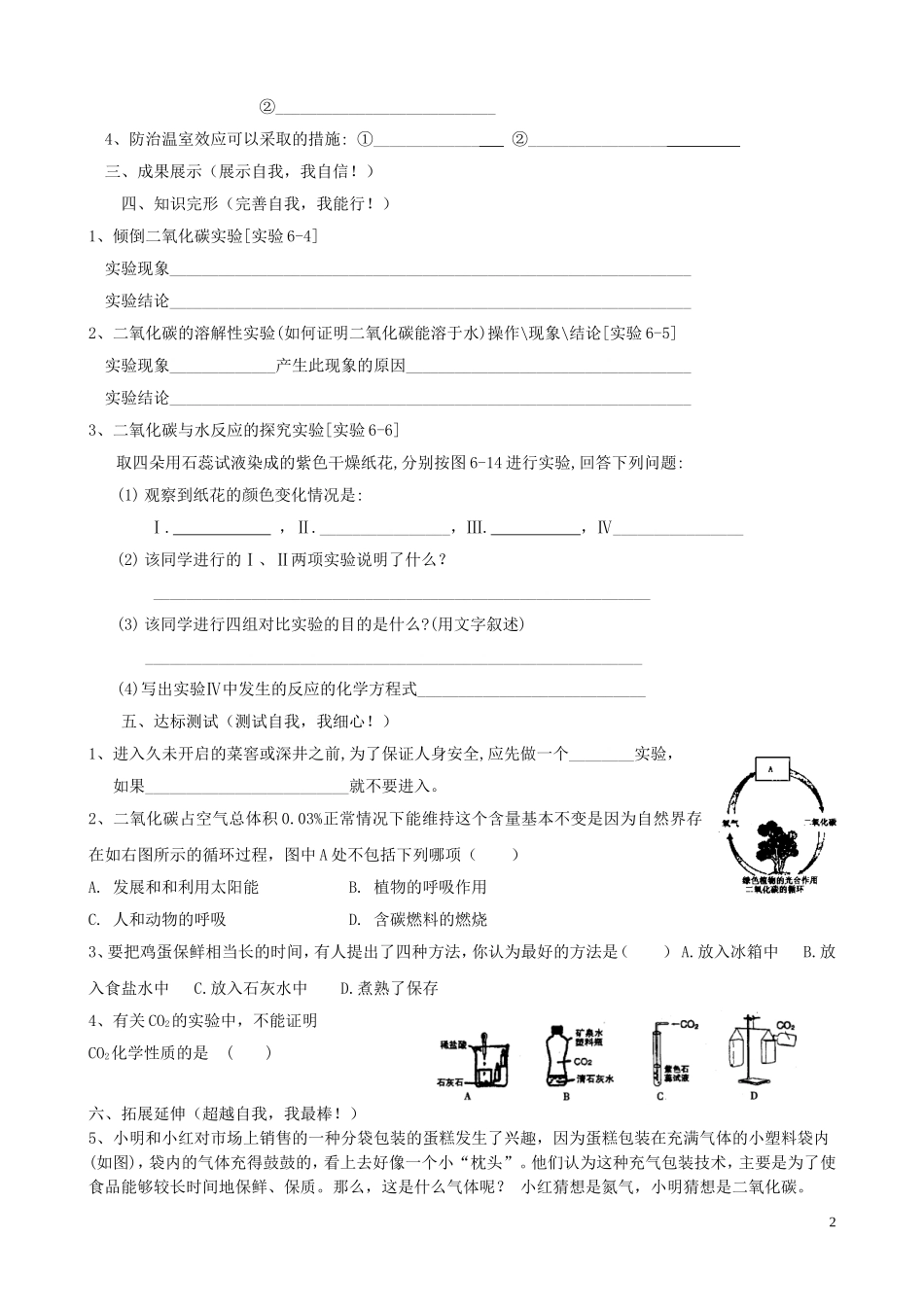 江苏省无锡市江南大学附属实验中学九年级化学上册 6.3《二氧化碳和一氧化碳》教学案（无答案） 新人教版_第2页