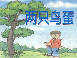 两只鸟蛋第一课时