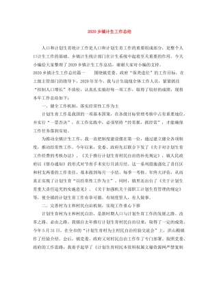 乡镇计生工作总结