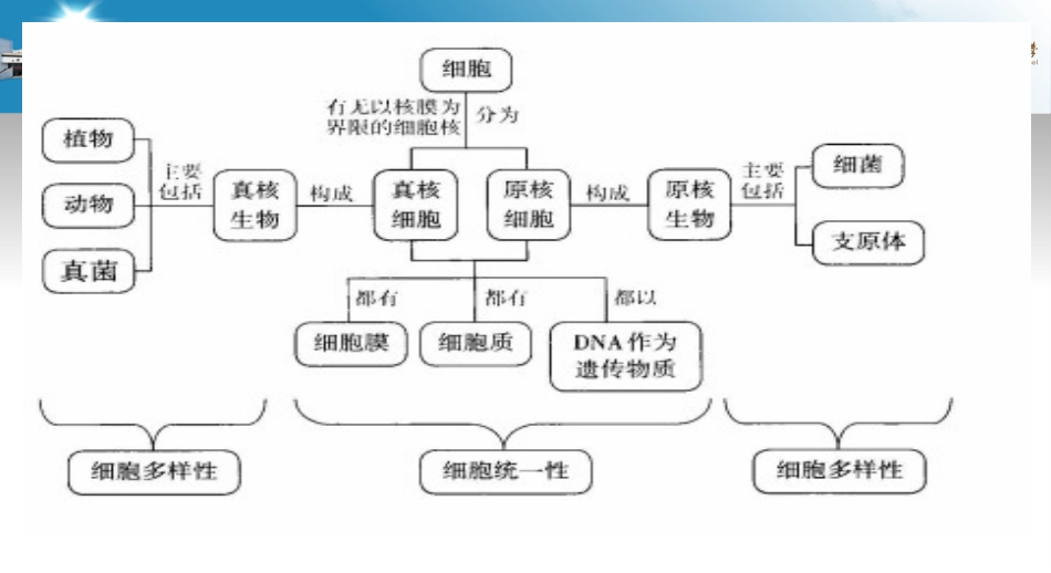 细胞中的元素和化合物_第1页