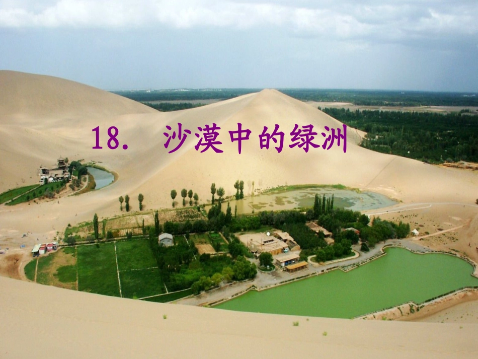 苏教版四年级下册《沙漠中的绿洲》PPT第一课时课件_第2页