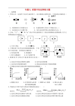 湖北省孝感市孝南区肖港镇肖港初级中学中考化学专题复习七质量守恒定律练习题无答案