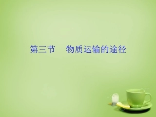 河北省安国市实验中学七年级生物下册第四章第三节物质运输的途径课件新版新人教版