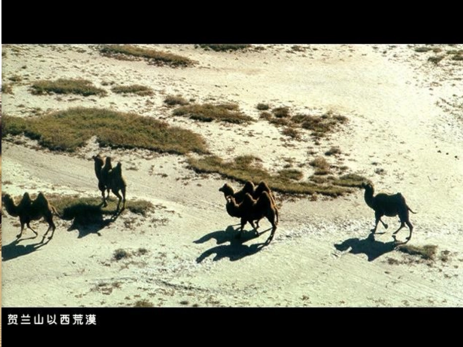 荒漠化的防治_第3页