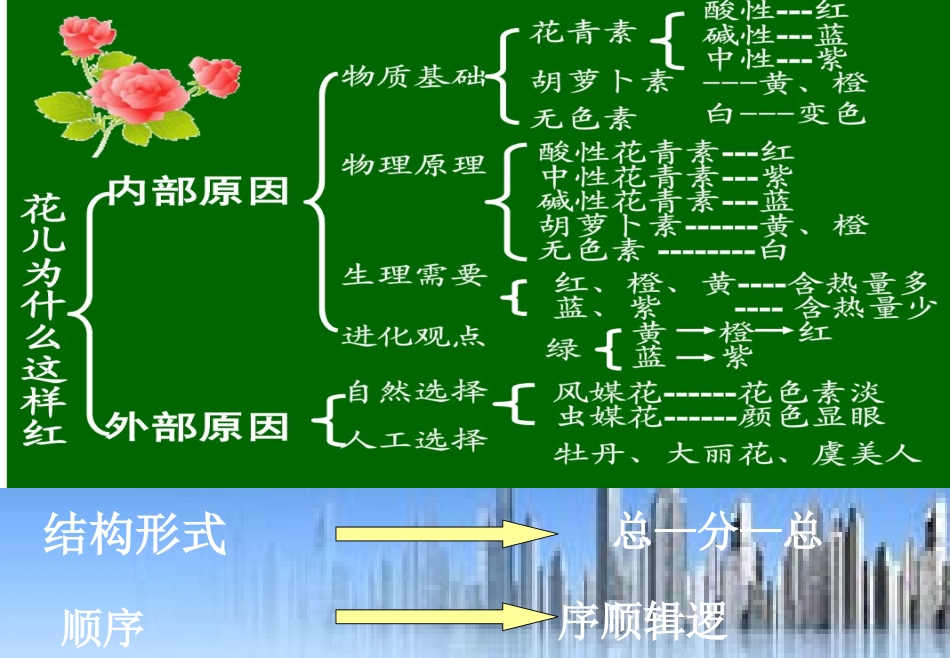 花儿为什么这样红_第3页
