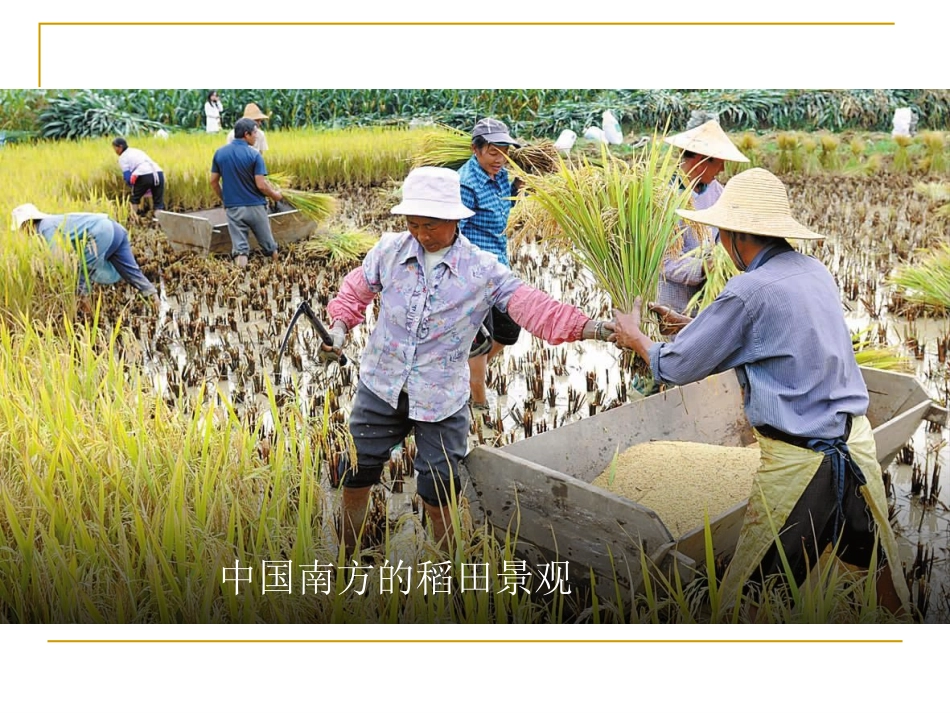 第一节地理环境对区域发展的影响_第2页