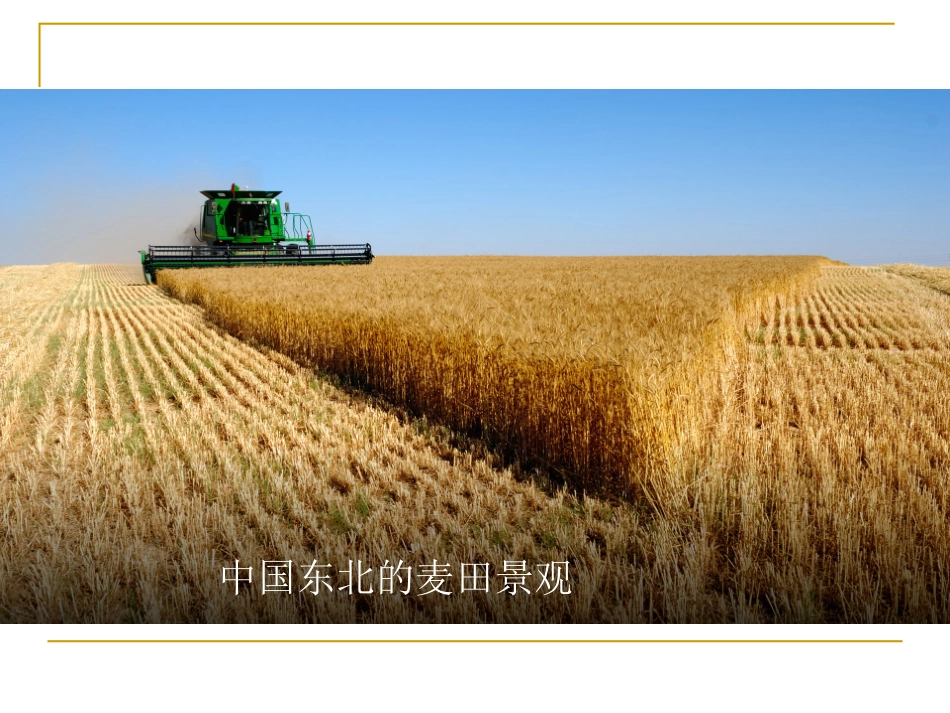 第一节地理环境对区域发展的影响_第3页