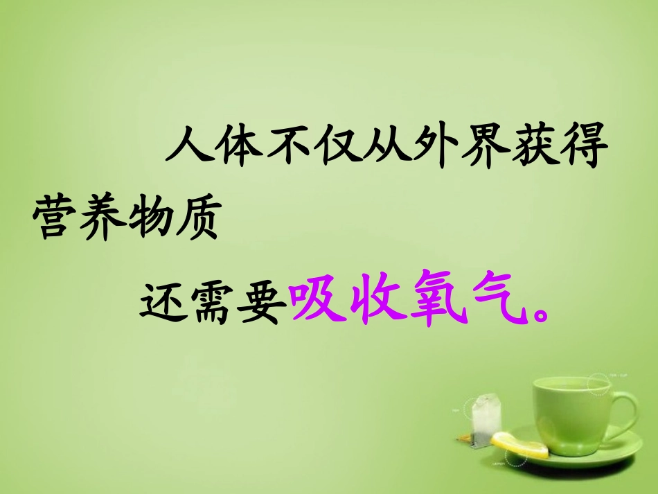 河北省安国市实验中学七年级生物下册第三章第一节呼吸道对空气的处理课件新版新人教版_第3页