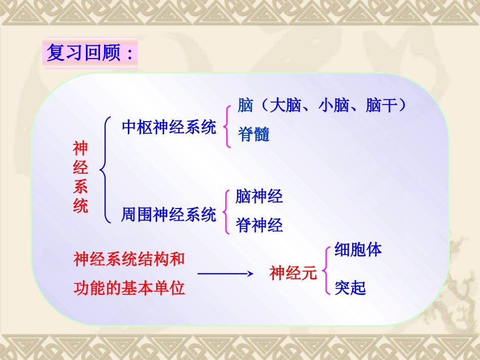 第三节神经调节的基本方式吕中肖鹏_第1页