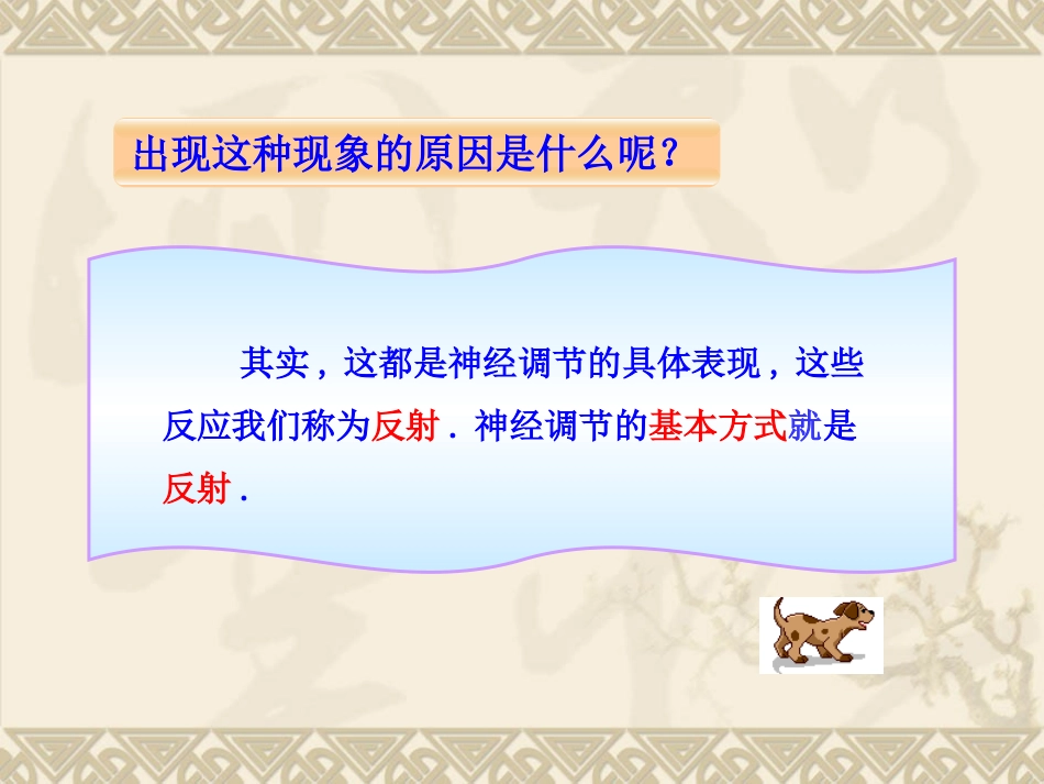 第三节神经调节的基本方式吕中肖鹏_第3页
