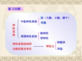 第三节神经调节的基本方式吕中肖鹏