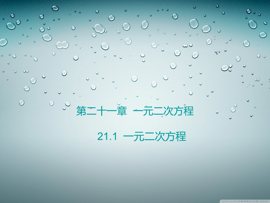 一元二次方程 ()_第1页