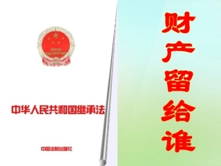 浙江省宁波市慈城中学八年级政治下册3.7.2财产留给谁课件新人教版